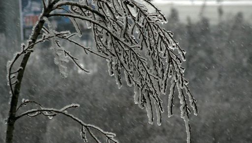Синоптики повідомили, якою буде погода в Харківській області 17 грудня