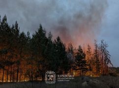На Харківщині попереджають про пожежну небезпеку в лісах