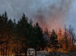 В Харьковской области объявили высокий уровень пожарной опасности в лесах