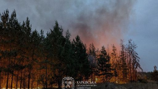 На Харківщині оголосили високий рівень пожежної небезпеки у лісах