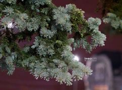 У неділю на Харківщині зберігатиметься ожеледь: прогноз погоди на 1 лютого