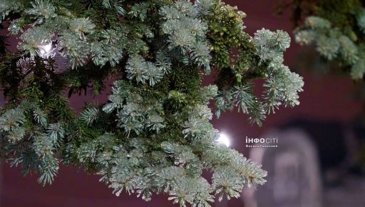 В воскресенье на Харьковщине будет сохраняться гололед: прогноз погоды на 1 февраля