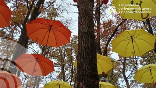 У Харкові з початку тижня дощитиме