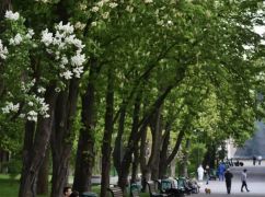 Синоптики попередили про сильний вітер на Харківщині