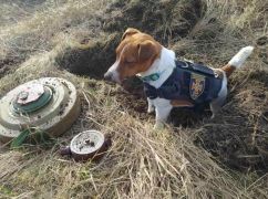 Жителів Балаклійської громади попередили про контрольовані вибухи