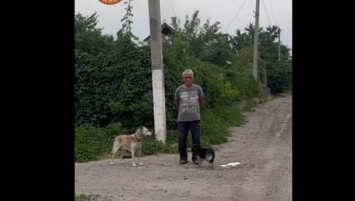 Пожилой мужчина в Купянске остался без дома, но не выезжал из города из-за собак