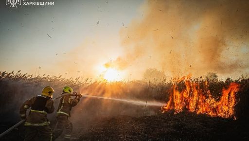 Почти 100 возгораний за 2 дня: В Харьковской области начался сезон пожаров в экосистемах