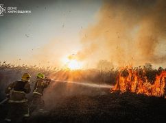 Синоптики назвали райони Харківщини, де пожежна небезпека буде найбільша