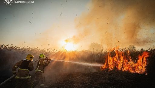 Синоптики назвали райони Харківщини, де пожежна небезпека буде найбільша