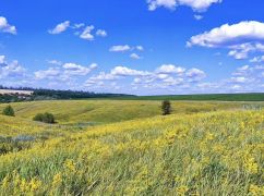 Синоптики розповіли, чи продовжаться дощі у понеділок на Харківщині