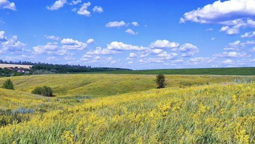 Синоптики розповіли, чи продовжаться дощі у понеділок на Харківщині