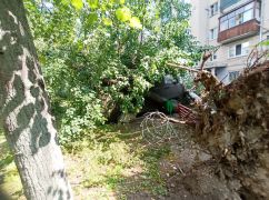 У Харкові після буревію вивезли з міста рекордну кількість сміття