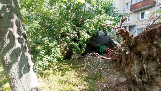 В Харькове после урагана вывезли из города рекордное количество мусора