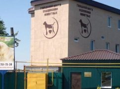 В Харькове из-за российской атаки поврежден приют для животных: Фото с места