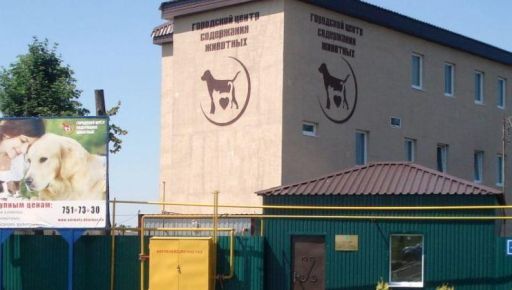 У Харкові через російську атаку пошкоджено притулок для тварин: Світлини з місця