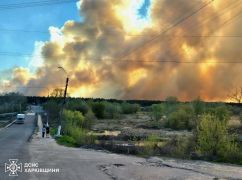 В Харьковской области вторые сутки горит лес