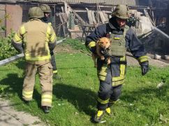 На Купянщине из горевшего дома спасли собаку