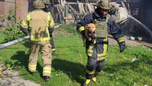 На Купянщине из горевшего дома спасли собаку
