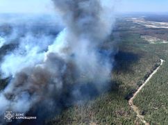 На Харьковщине уменьшилась площадь масштабного пожара в лесничестве