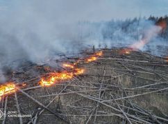В Харьковской области спасатели тушат сразу 8 лесных пожаров
