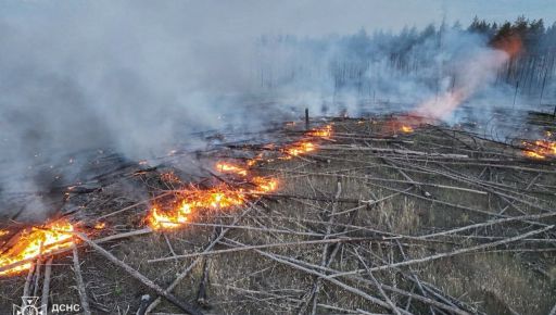 В Харьковской области спасатели тушат сразу 8 лесных пожаров
