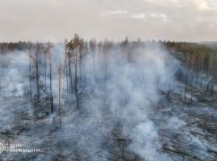 В Харьковской области горит 145 га леса - ГСЧС