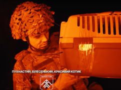 Харьковские гвардейцы эвакуировали с передовой кота Прапора с помощью робота