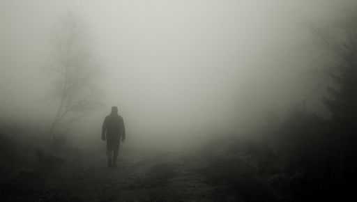 Ушли в лес и не вернулись: в Харькове исчезли пенсионер и немецкая овчарка