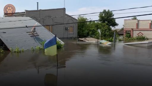 Харків'яни вивозять тварин з найбільш затопленого району Херсона: Кадри порятунку