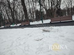 На Харківщині тиждень почнеться з ожеледиці: прогноз погоди на 15 грудня