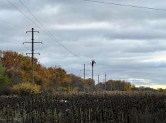 Почти 11 месяцев без света: В двух селах Золочевской общины возобновили электроснабжение
