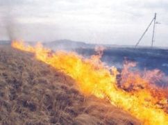 Рятувальники ліквідували понад дві сотні пожеж сухостою на Харківщині за тиждень: Що їх спричинило