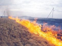 Картонний дрон впав на околицях харківського села та підпалив траву