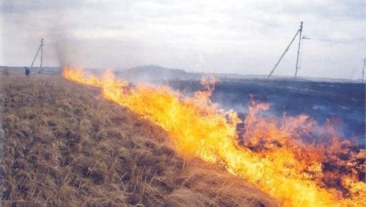 В Харьковской области на пепелище нашли тело пенсионерки