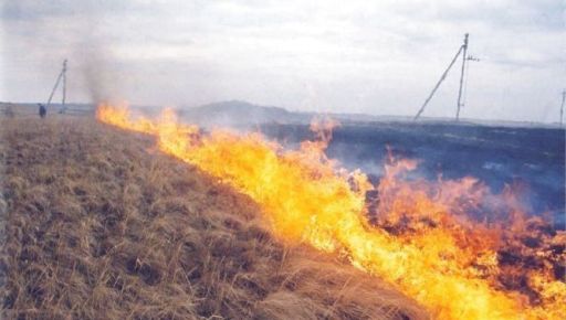 На Харківщині через погоду за добу загорілося 7 га територій