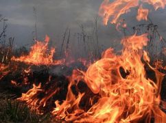 На Харьковщине оккупанты вызвали семь пожаров в экосистемах — ГСЧС