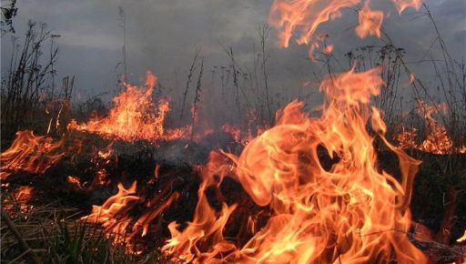 На Харьковщине оккупанты вызвали семь пожаров в экосистемах — ГСЧС