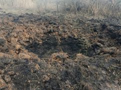 У Богодухові росіяни знищили тварин та пошкодили лікарню: є постраждалі