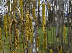 Без нічних заморозків та з весняним теплом: яким буде понеділок на Харківщини