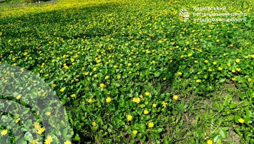 Синоптики розповіли про початок робочого тижня на Харківщині: прогноз на 20 квітня