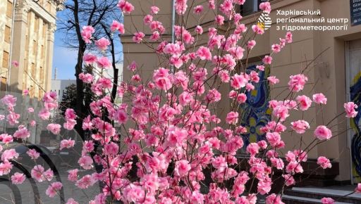 Синоптики рассказали, каким будет воскресенье на Харьковщине