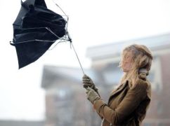 В Харькове и области ожидается сильный ветер: что известно
