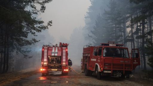 Пожежі на Харківщині: Рятувальники загасили вогонь у п’яти лісах