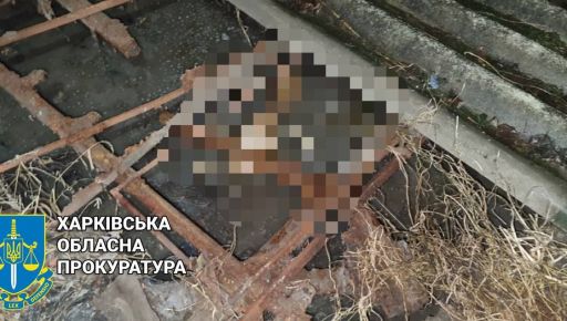 На Харьковщине осудили убийцу отца: Злоумышленник выбросил тело жертвы в сливную яму