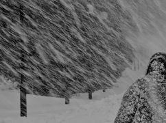 Желтый уровень опасности: синоптики предупреждают об ухудшении погоды в Харькове