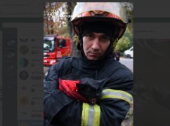 У Харкові з пожежі врятували кота: відео порятунку