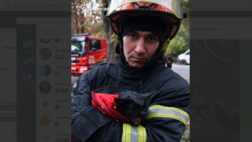У Харкові з пожежі врятували кота: відео порятунку
