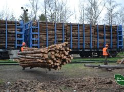 Харьковские лесничества увеличили объемы поставок древесины для армии