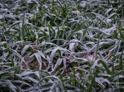 В Харьковской области ожидается дождь со снегом: прогноз погоды на 27 апреля