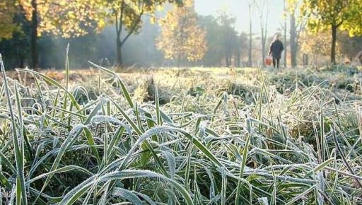 На Харківщині синоптики прогнозують нічні заморозки